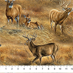 Northcott - Birchwood: Naturescapes - Field of Deer, Tan