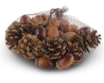 Acor and Pinecones, Light Brown