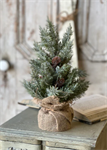 Icy Nordic Pine Tree | 15^