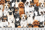 Shannon Fabrics - Cuddle Prints - Dog-Pile, Beige