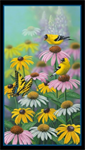 Elizabeth Studio - Curious Visitor - 24^ Yellow Finch Panel, Black