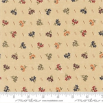 Moda - Wheatland - Small Coneflowers, Wheat