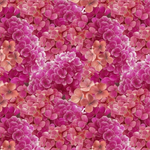 Blank Quilting - Florinda - Hydrangea, Fuchsia