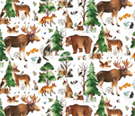 Elizabeth Studio - Who Lives in The Woods - Forest Animals, White