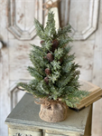 Icy Nordic Pine Tree | 18^