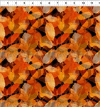 In The Beginning - Reflections of Autumn - Orange Leaves, Brown