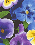 Hoffman California - Fancy Flutter - Rose Toss, Lilac