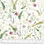 Windham - Perennial - Flowerfield, Ivory