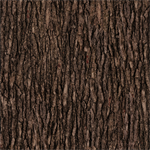 Quilting Treasures - Open Air - Bark, Auburn