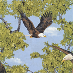 Fabri-Quilt - Born Free - Eagles, Blue