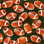 Robert Kaufman - Sports Life - Footballs, Grass