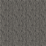 Northcott - Modern Elements - Zebra, Black