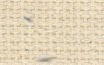 Cotton Webbing - 1 1/2^  Natural