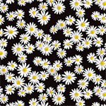 Benartex Kanvas - 108^ Daisy Dance - Black