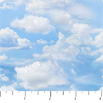 Northcott - Atlantic Coast - Clouds, Light Blue