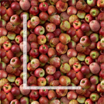 Timeless Treasures - Cider Season - Packed Apples, Red