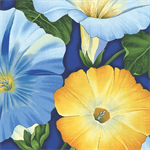 Benartex - Flower Festival - Morning Glories, Blue/Yellow