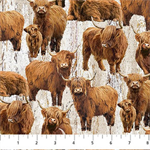 Northcott - Highland Home - Highland Cows, Beige