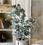 Spray - Pewter Sky Eucalyptus 27^