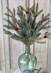 Bush - Trinity Fir 24^