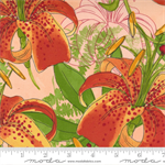 Moda - Carolina Lilies - Focal Lily, Peach