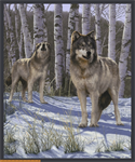 Windham - One of a Kind - 36^ Snow Wolf Panel, Multi