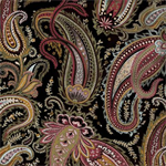 Sykel - Vintage Aubusson - Paisley, Multi/Black