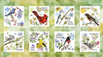 Quilting Treasures - Drawn to Birds - 24^ Picture Panels, Light Green