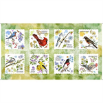 Quilting Treasures - Drawn to Birds - 24^ Picture Panels, Light Green