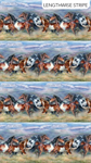 Northcott - Wild and Free - Border Stripe, Blue