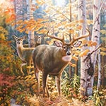 Elizabeth Studio - Autumn Surprise, 24^ Deer Panel, Multi