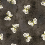 Kanvas Studio - Floral Impressions - Butterfly Wash, Dark Gray
