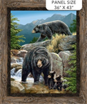 Northcott - Northwood: Naturescapes Bear - 36^ Black Bear Panel, Brown