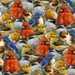 Quilting Treasures - Joyful Garden - Packed Birds, Multi