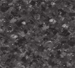 Oasis - 118^ Clouds - Black