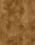 Wilmington Prints - Savor the Gnoment - Texture, Brown