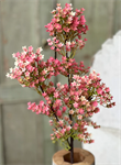 Spray - Andromeda Buds 28^, Pink