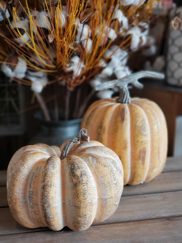 Cream & Orange Pumpkins 