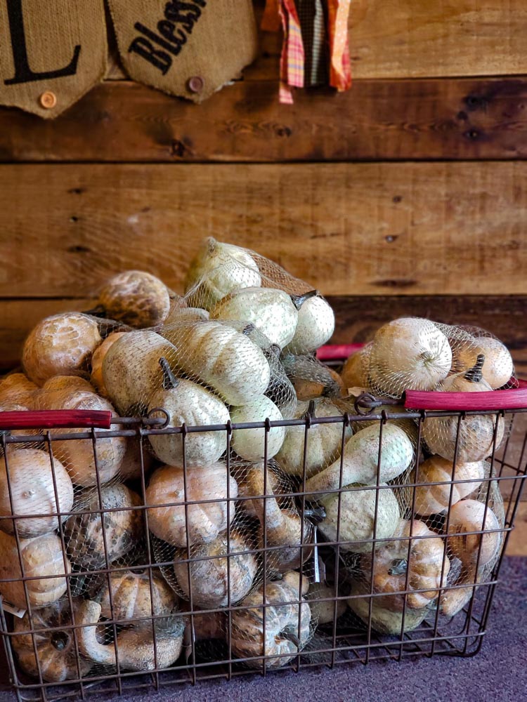 Pumpkins & Gourds, "Fun Size"